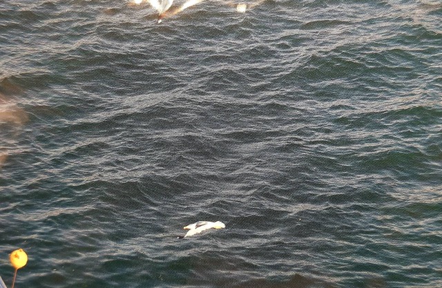 CHARMING AND QUIET STUDIO