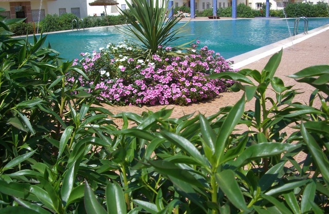 Charming apartment close to the beach with three pools and gardens