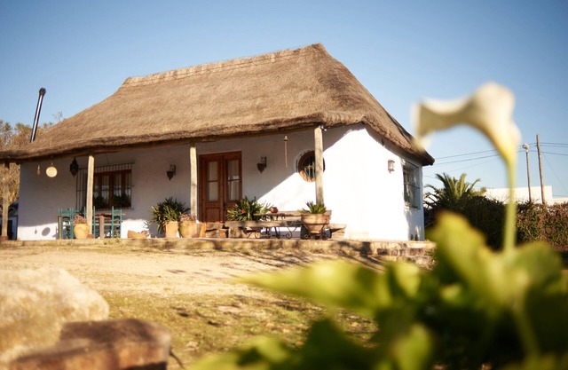 Charming country house in ARBOLADA and quiet area
