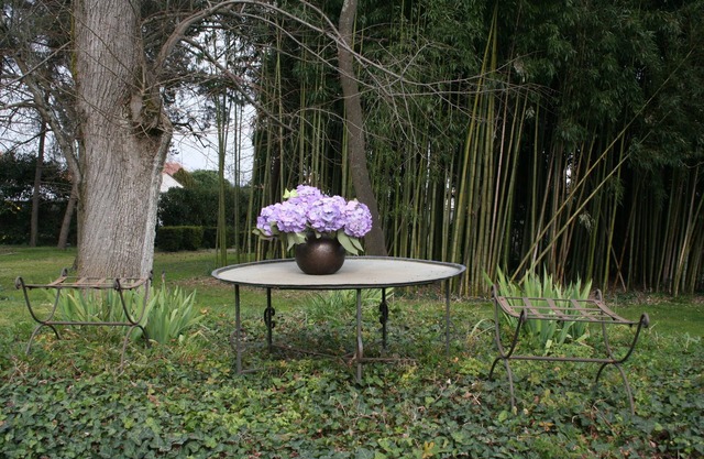 Charming Cottage with Swimming Pool South West