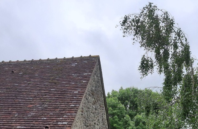 Charming cottage in the perch (1h30 Paris) Charming quiet cottage in the Perche