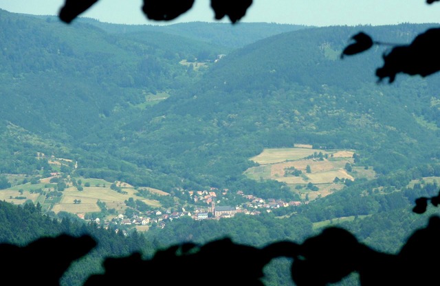 Charming cottage for rent