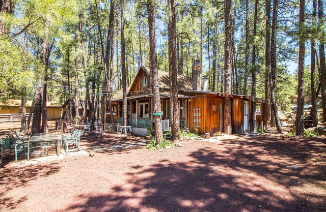 Charming Cozy Uniquely Furnished Rustic Cabin Steps to Forest Trails