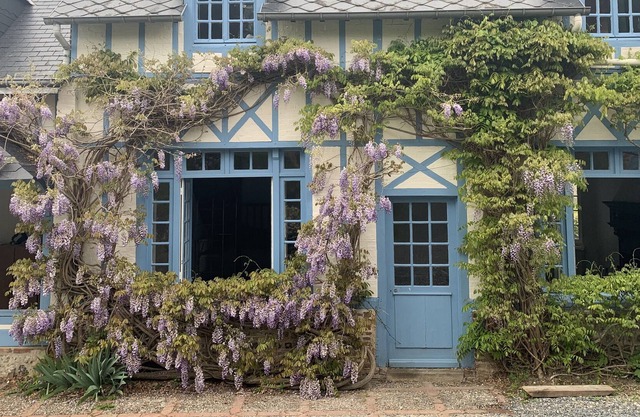 Charming family- and friends-house in Saint-Valery en Caux, 12 beds