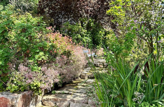 Charming Farm Cottage, Relax & Recharge