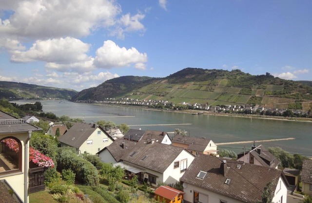 Charming flat in Rheindiebach.