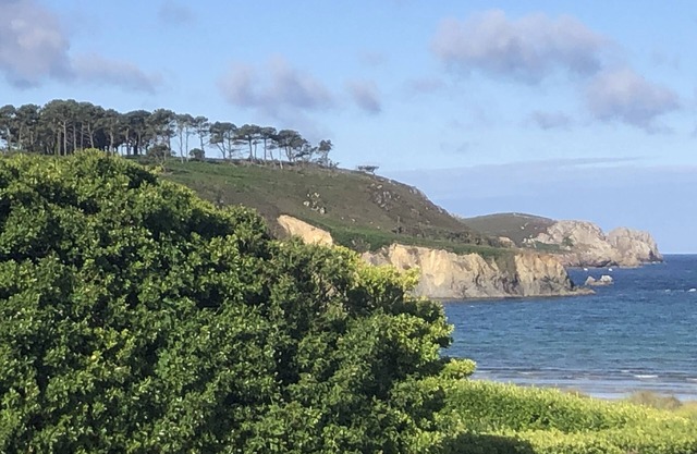 Charming house between beach and town center