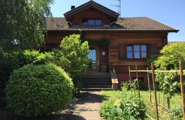 Charming house in a garden in the heart of Alsace near Colmar