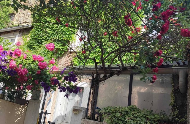 Charming house in the heart of the historic center of Amboise