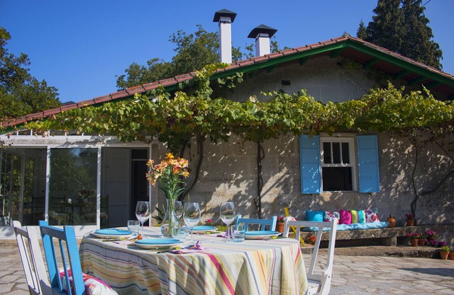 CHARMING HOUSE - Property with pool and 150,000 m2 of forest just for you