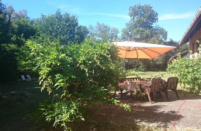 Charming little house in the Medoc pine forest