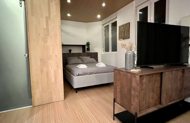 Charming little Loft Mulhouse center