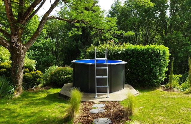 Charming Périgord house with mini-pool