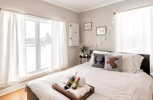 Charming Riverview 1 bed apt. 10min to DTWN Ottawa