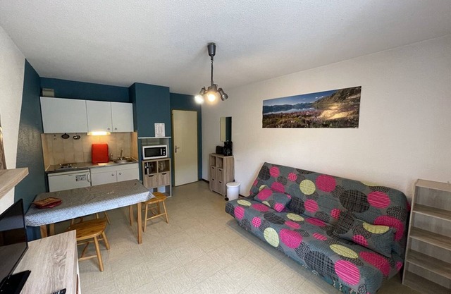 Charming Studio Facing Ski Slopes - Pet Friendly, South Exposure