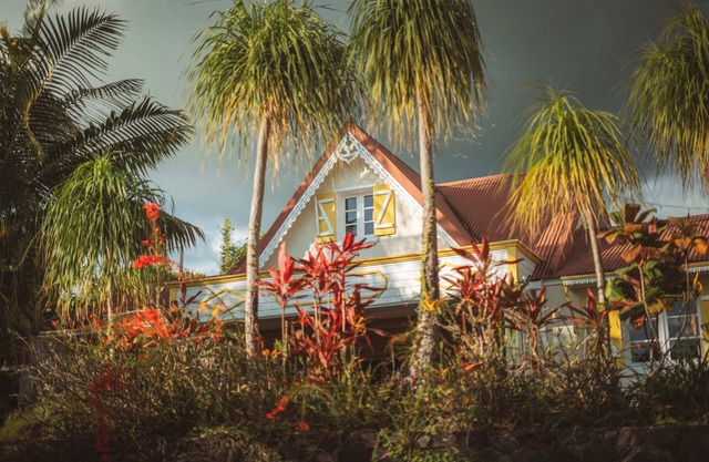 Charming villa with Jacuzzi, sauna, hammam & lush garden in L'Entre Deux - 6pers