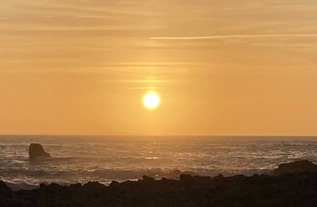 Charming Wooden House With Garden