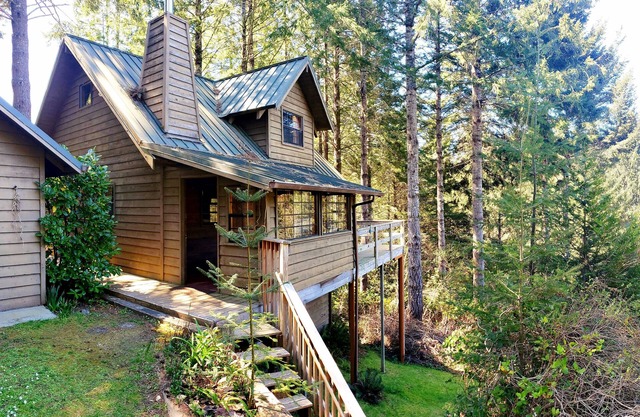 Charming Woodland Cabin in a Coastal Forest Above the Fog