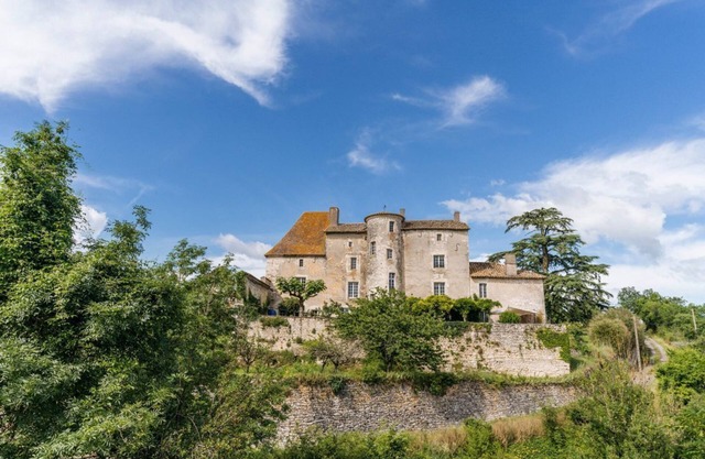 Chateau D'Ax - Twelve Bedroom Castle, Sleeps 26
