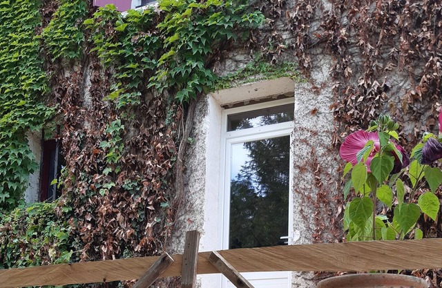 Chateau / Country House