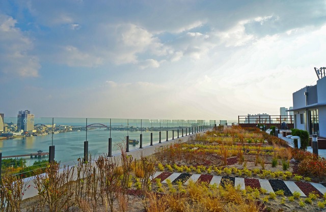 Chestertons Sokcho
