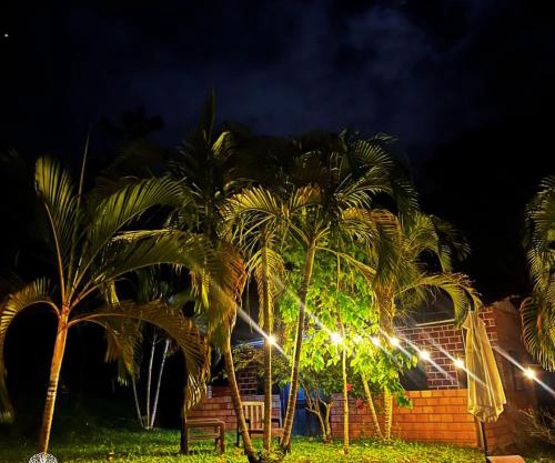 CHOCLINO ECOLODGE -Bungalows con Piscina privada, Mirador y Tours en la selva
