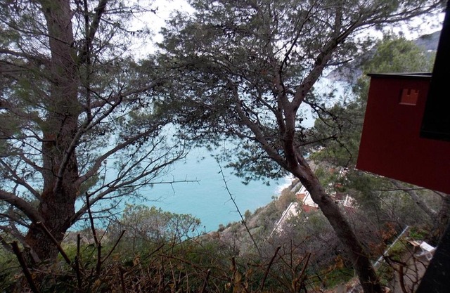 Cinqueterre National Park with Super Sea View
