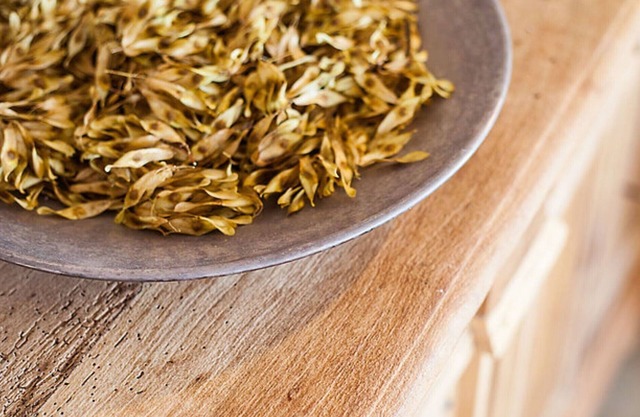 Cipresso apartment at Podere Castellare