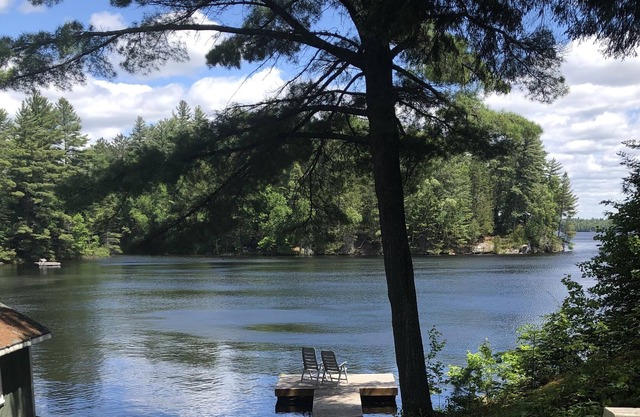 Classic Waterfront Cottage in Trent Lakes