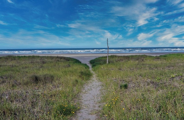 CLEAN Beach Cottage + Beach Path!