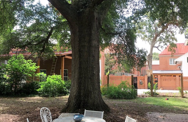 Clean-Serene-Green, Best Location-Central-Historic, Large, Comfy, Accommodating