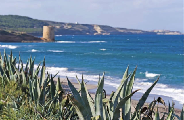 ClickSardinia Villa with sea view for 11 people with garden near the beach