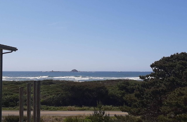 Coastal cottage with stunning ocean views & private gas grill - dogs welcome