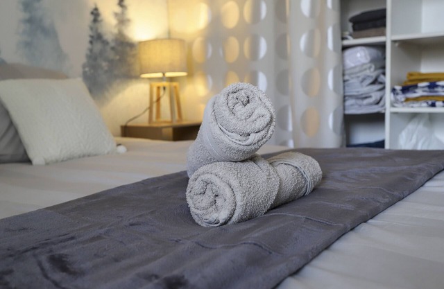 cocon annecien entre lac et montagne