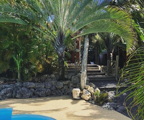 Coin Paradis