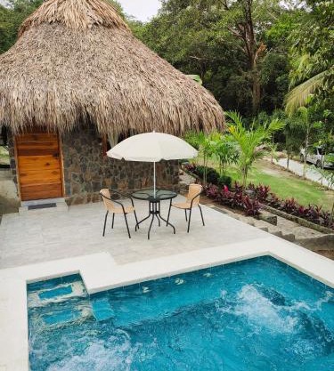 Colibri Parque Tayrona Dentro del Parque Nacional Tayrona