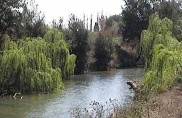 Colonial Inn Tamworth