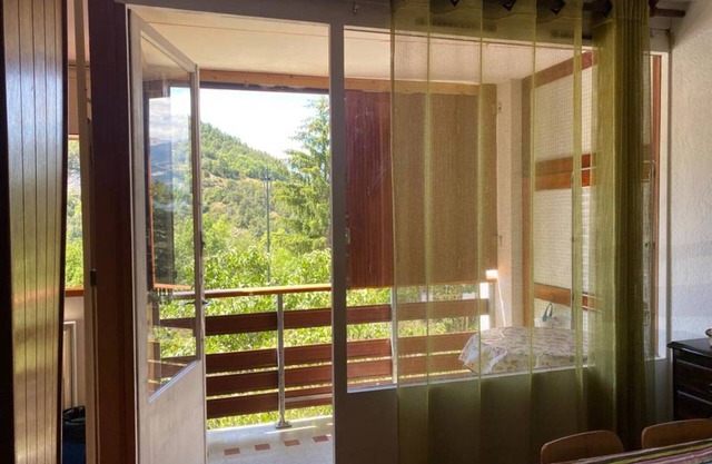 Comfortable apartment with balcony and ski-in access