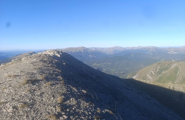 Comfortable room with mountain view. Pets allowed