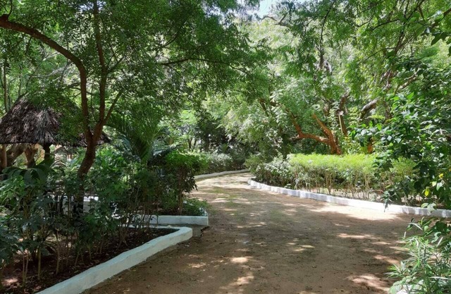 Comfortable Serene Tranquil Retreat