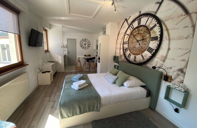 Comfortable studio near Europapark