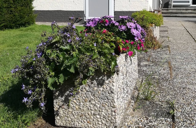 Comfortable Studio with bathroom and kitchenette