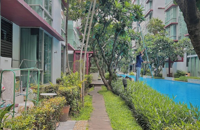 Condo With Pool and Garden in Central Bangkok ! Book Your Tropical Escape Now!
