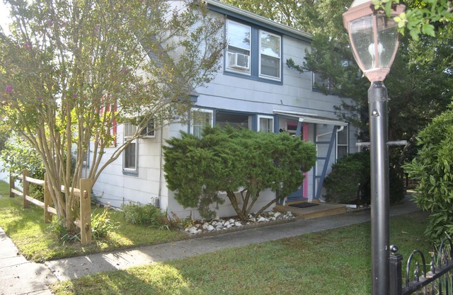 Congress Street Cottage - Easy walk to beaches, restaurants, and shopping!