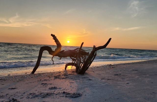 Construction Complete - LGI Hideaway Bay Condo