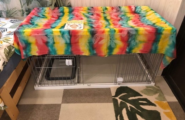 Container house in Kibogaoka Onna village You can also enjoy BBQ and golf practice 2 free parking/Kunigami-gun Okinawa