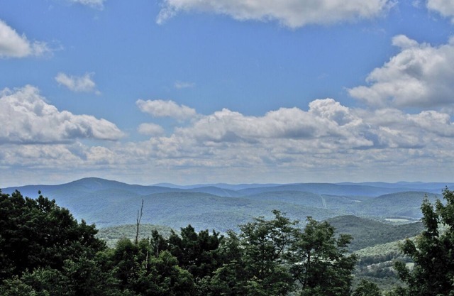Convenient Stay, Superb Location! Minutes to Bramley Mtn. Trail