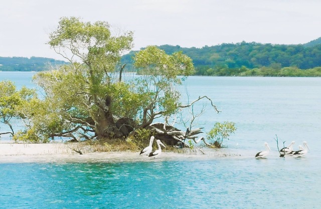 Coomera Houseboat Holidays