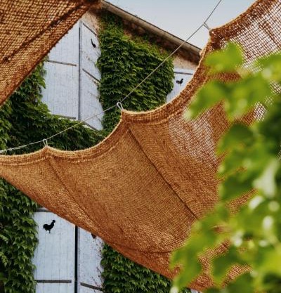 Coq Hotel