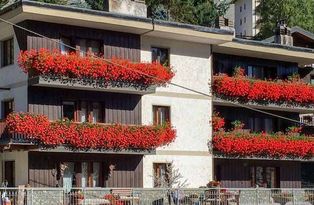 Cosy apartment for 4 people with WIFI, TV, terrace and pets allowed